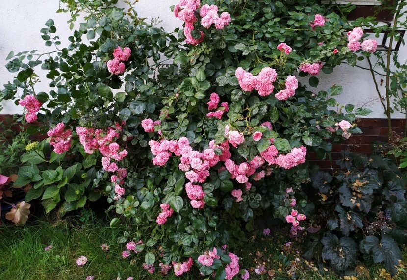  - Les Quatre Saisons