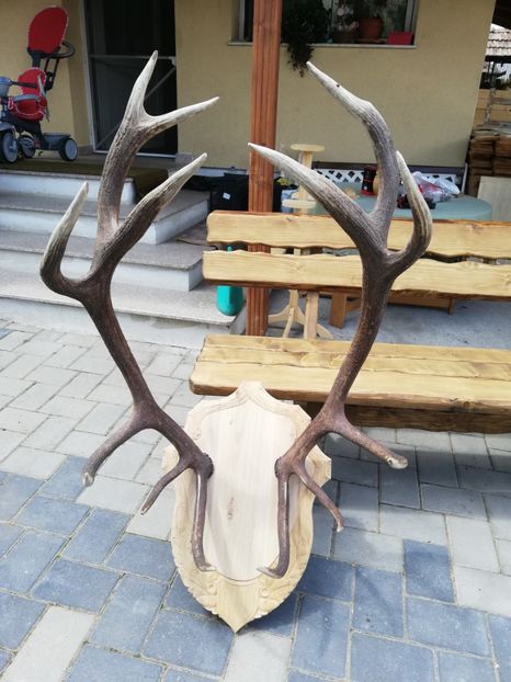 Trofeu - aranjamente ptr gradina LA COMANDA - DE VANZARE