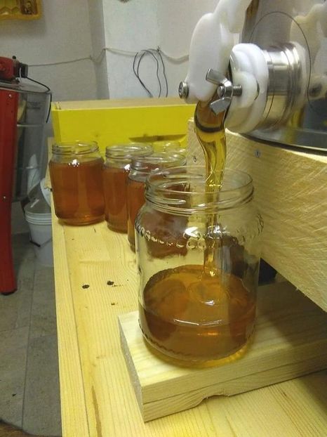 547DB8A4-E897-47A9-9CA1-FE97044CF5AE - Dunarea