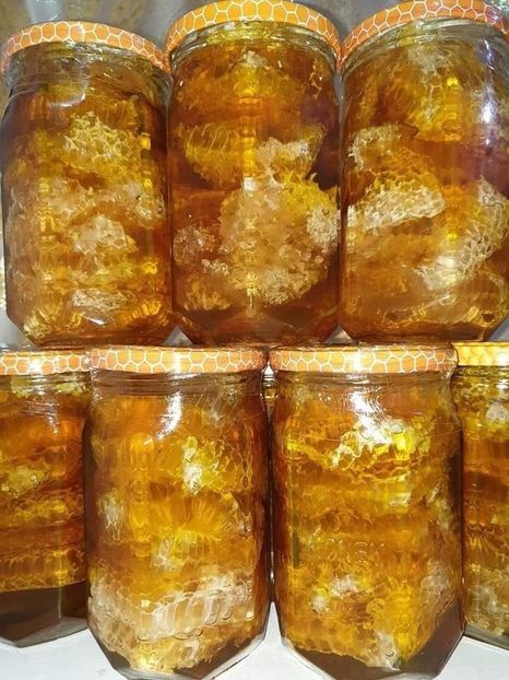 7B9003B6-C8F1-49BB-B8CB-94F80A8F84BD - Dunarea