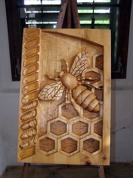 744D4F93-47AB-4AF4-A93C-72EE9132A3C6 - Dunarea