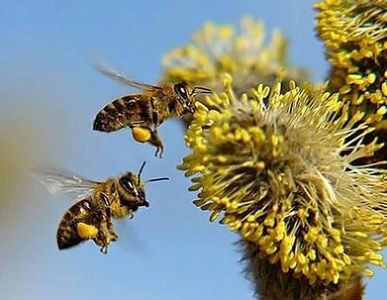 B7272BDE-4E82-44F1-94DA-ABC96D1B5FEB - Dunarea