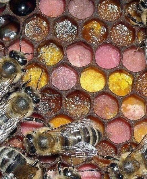 2C82E486-2C62-4581-92D6-4ADCB3BA3759 - Dunarea