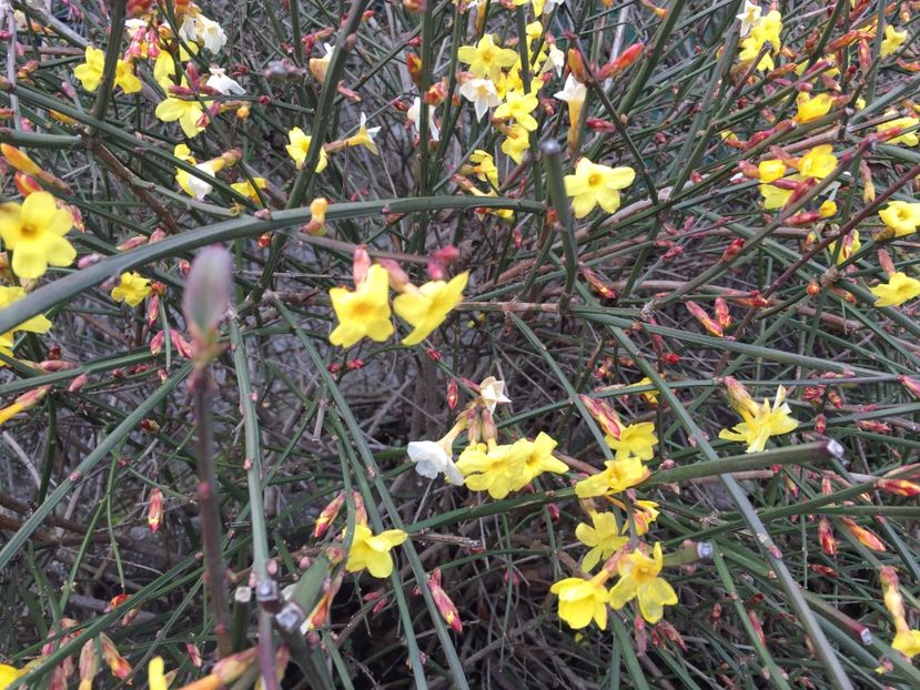 06724939-C304-495C-8045-5C77965D7EB5 - Dunarea