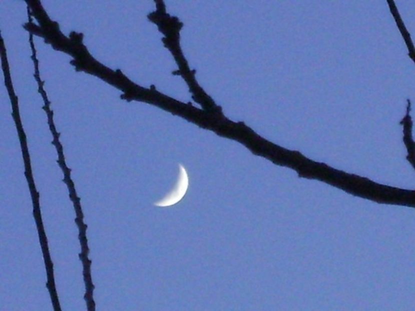 Luna in crestere in Berbec - Luna - Soarele si norii - 2
