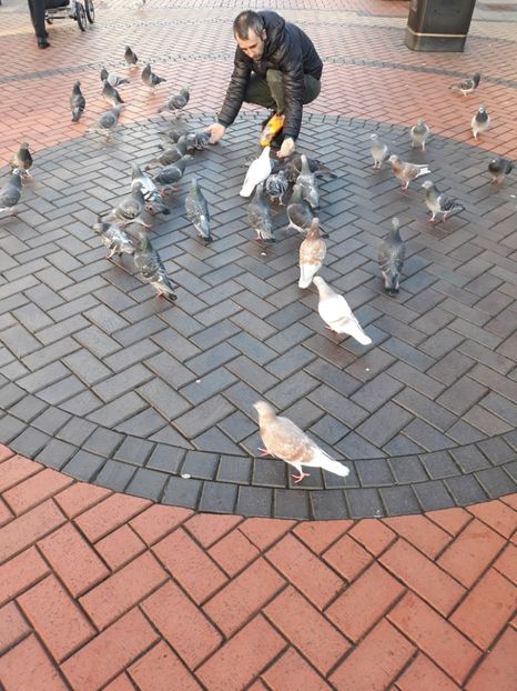 Eu si porumbei - pasari SI PORUMBEI