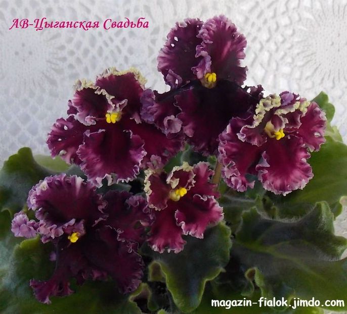  - AV Cyganskaya Sladba