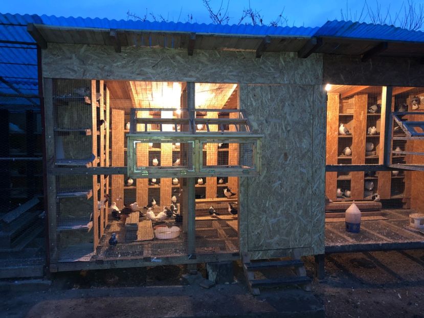  - Voliera numărul 5