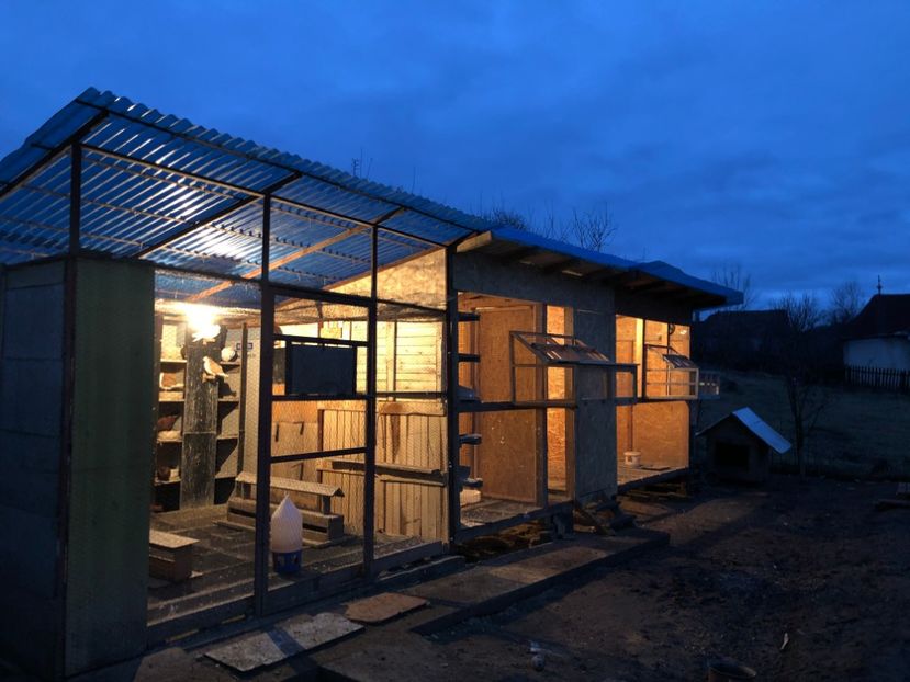  - Voliera numărul 5