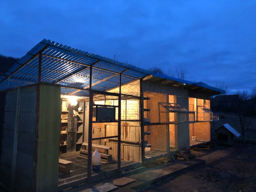  - Voliera numărul 5