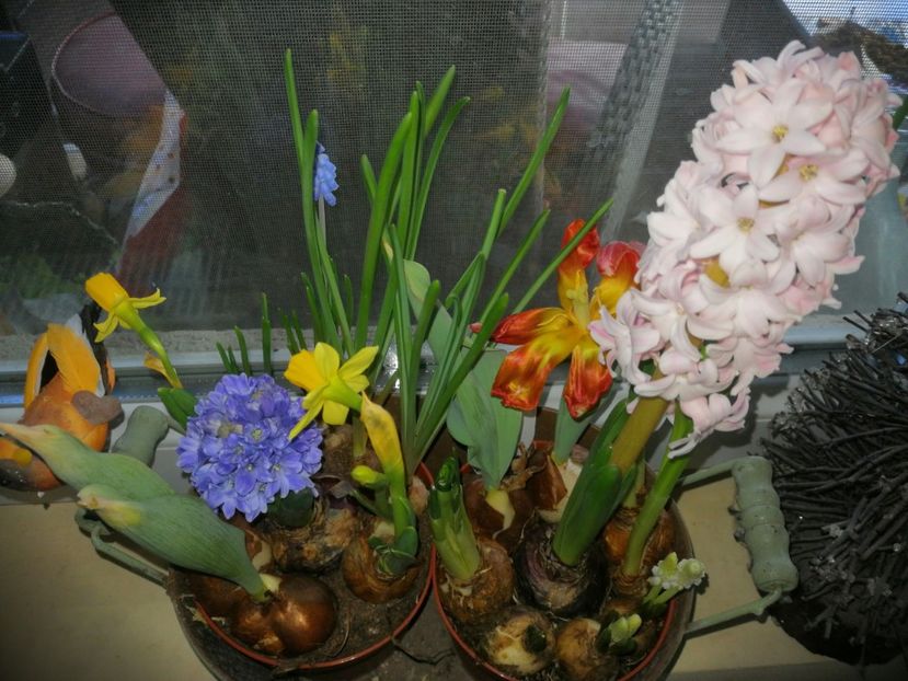  - Ianuarie _februarie 2020-2022