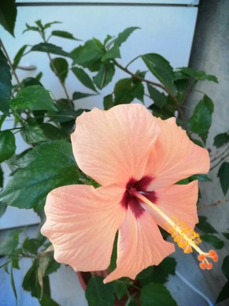  - Ianuarie _februarie 2020-2022