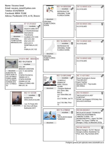 ped 215614 - Eva 215614