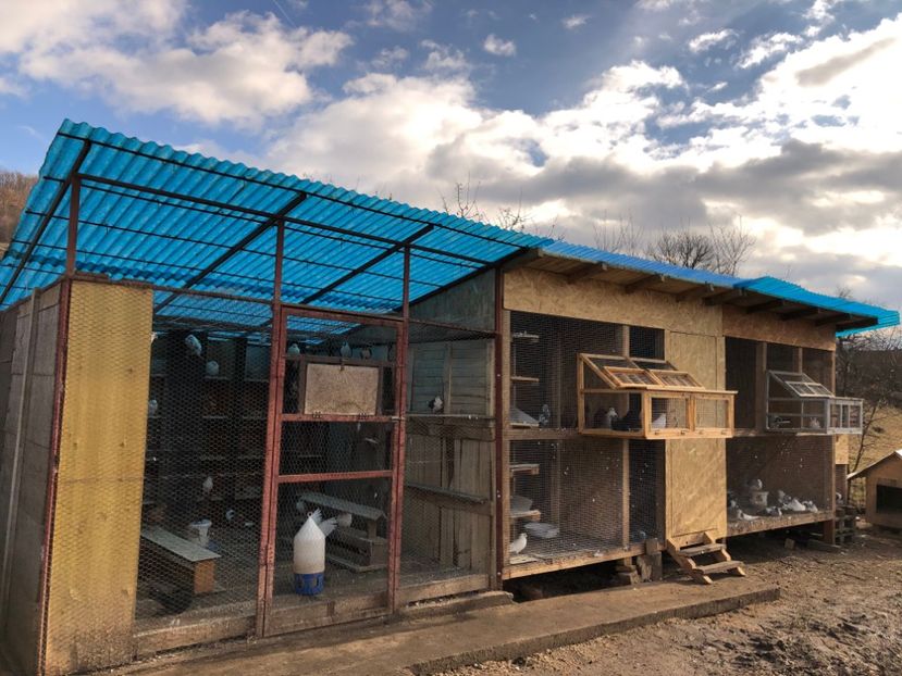  - Voliera numărul 5