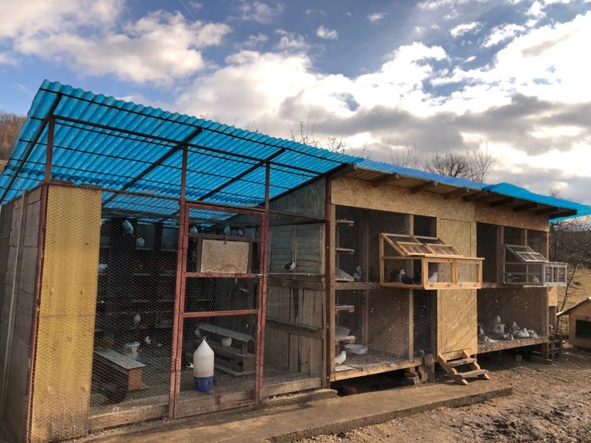  - Voliera numărul 5