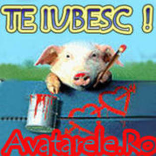QBOGNQFPIOFBDCPRTWU