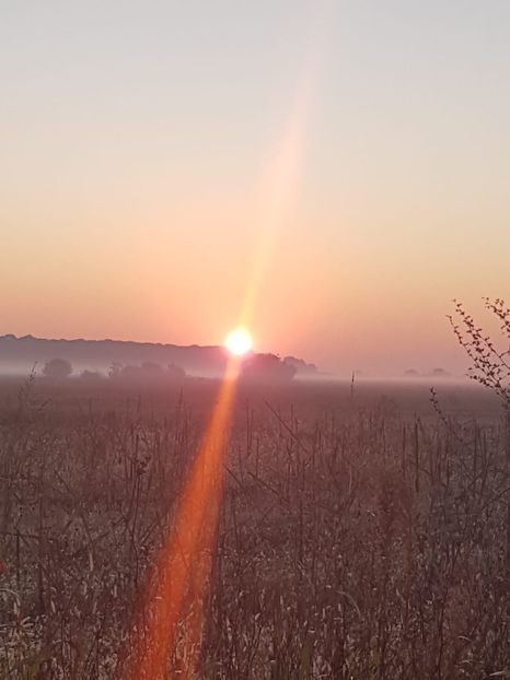 IMG-20191010-WA0034 - Casa