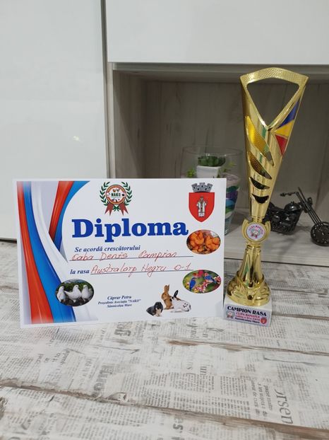  - Fam 1 australorp negru 2020
