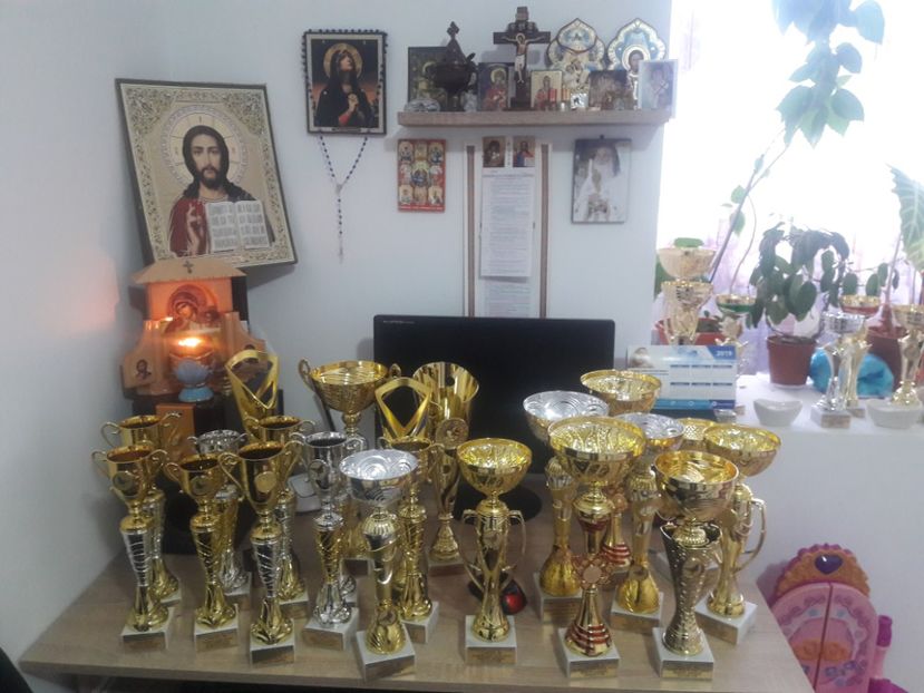 Cupe 2019! - Rezultate 2019 UCPR