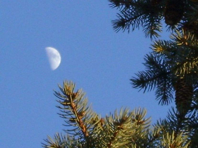 Primul patrar al lunii in Taur - Luna - Soarele si norii - 2