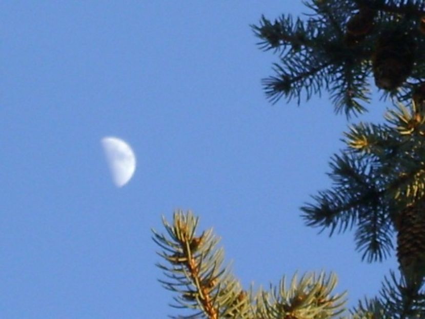 Primul patrar al lunii in Taur - Luna - Soarele si norii - 2