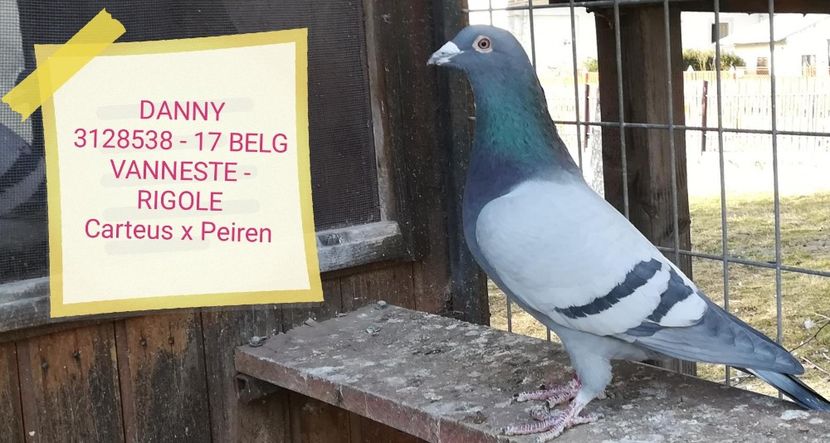 DANNY 3128538 - 17 BELG VANNESTE - RIGOLE - DANNY - Vanneste Rigole the line Magic Barcelona 1 nat Barcelona 2015