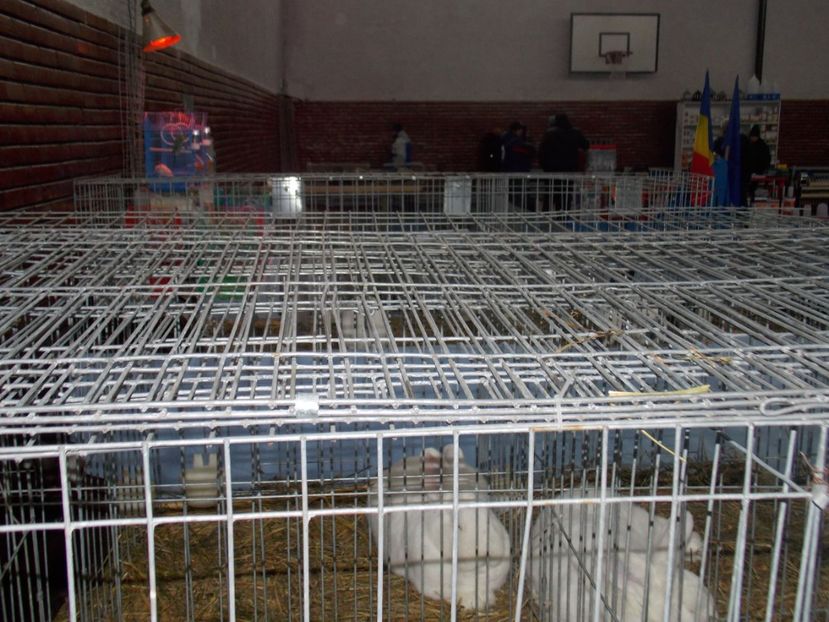  - EXPO-2020 HOBBY CENTRUM BRASOV