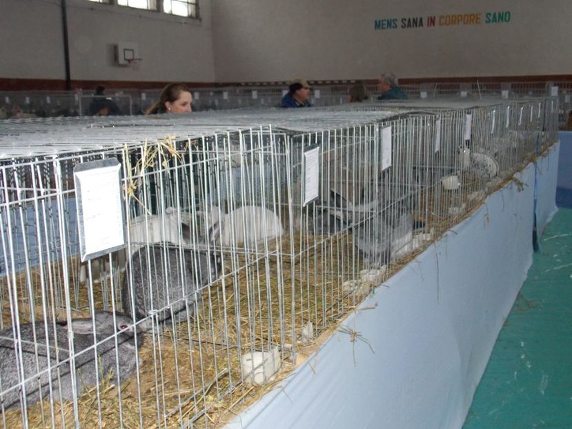  - EXPO-2020 HOBBY CENTRUM BRASOV