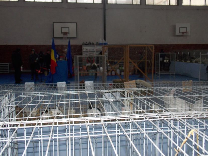  - EXPO-2020 HOBBY CENTRUM BRASOV