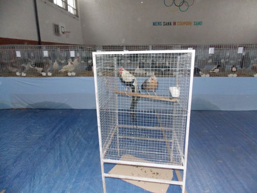  - EXPO-2020 HOBBY CENTRUM BRASOV