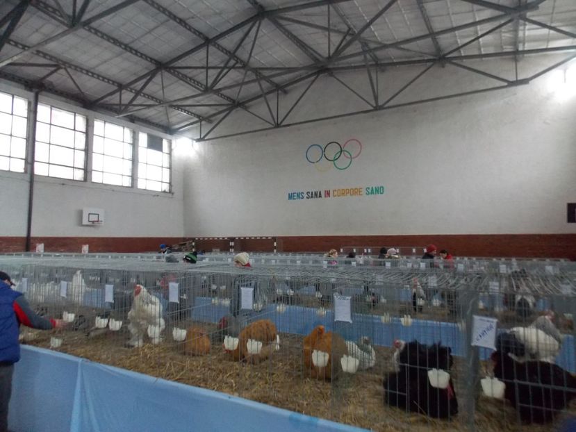  - EXPO-2020 HOBBY CENTRUM BRASOV