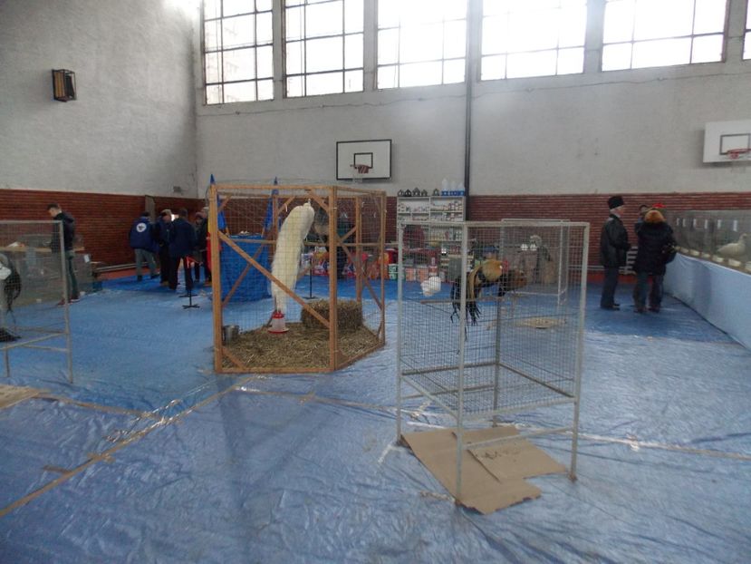  - EXPO-2020 HOBBY CENTRUM BRASOV