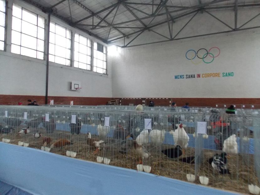  - EXPO-2020 HOBBY CENTRUM BRASOV