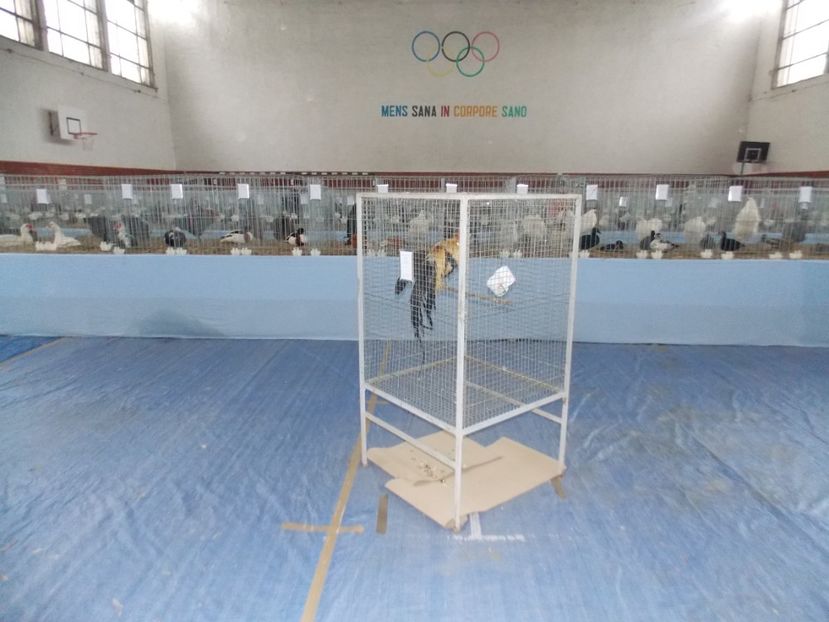  - EXPO-2020 HOBBY CENTRUM BRASOV