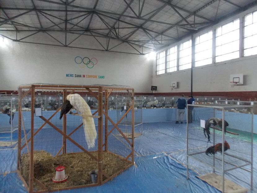  - EXPO-2020 HOBBY CENTRUM BRASOV