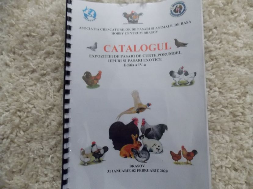  - EXPO-2020 HOBBY CENTRUM BRASOV