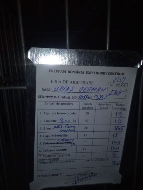  - 0 - REZ EXPO BRAȘOV FEB 2020