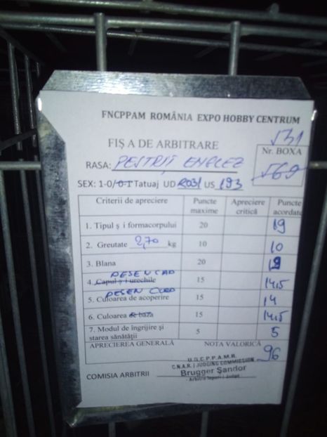  - 0 - REZ EXPO BRAȘOV FEB 2020