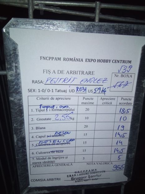  - 0 - REZ EXPO BRAȘOV FEB 2020