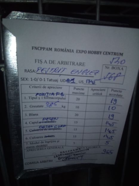  - 0 - REZ EXPO BRAȘOV FEB 2020