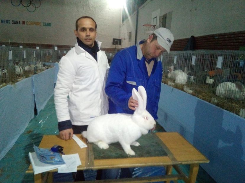  - 0 - REZ EXPO BRAȘOV FEB 2020