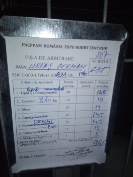  - 0 - REZ EXPO BRAȘOV FEB 2020
