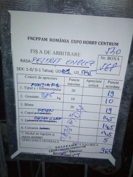  - 0 - REZ EXPO BRAȘOV FEB 2020