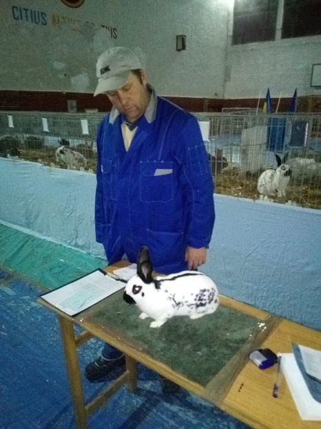  - 0 - REZ EXPO BRAȘOV FEB 2020