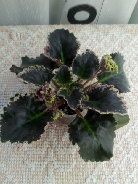 17 ian - ZZ LE Pariszkije Tainy