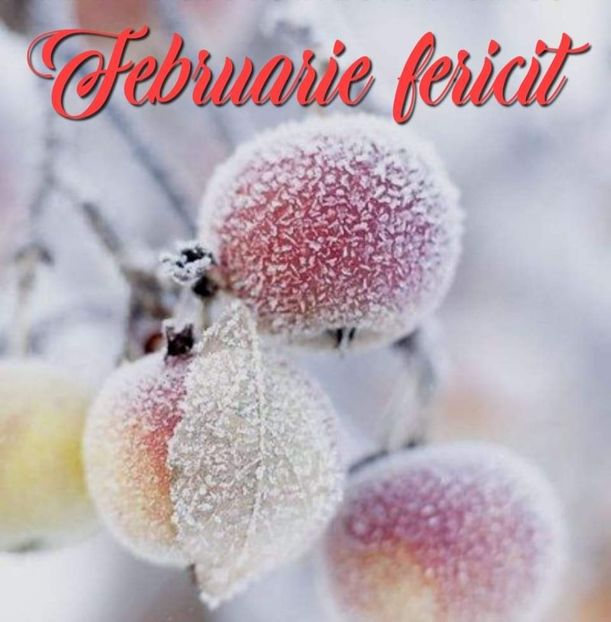  - FEBRUARIE 2020