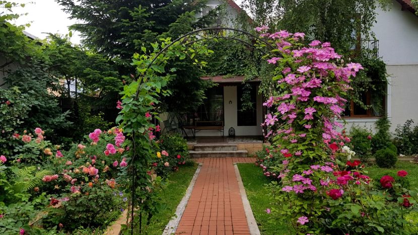 2019 - Z_FAVORITELE gradinii mele