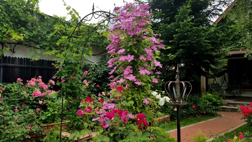 2019 Mme Bouchard - Z_FAVORITELE gradinii mele