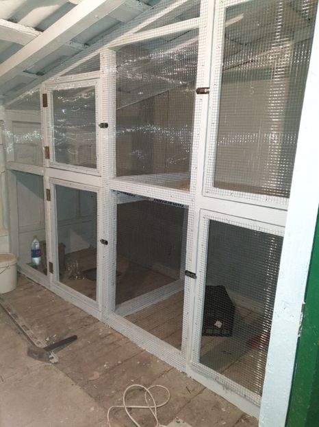  - Noua_casa_a_porumbeilor_cv_fitza_pe 2016