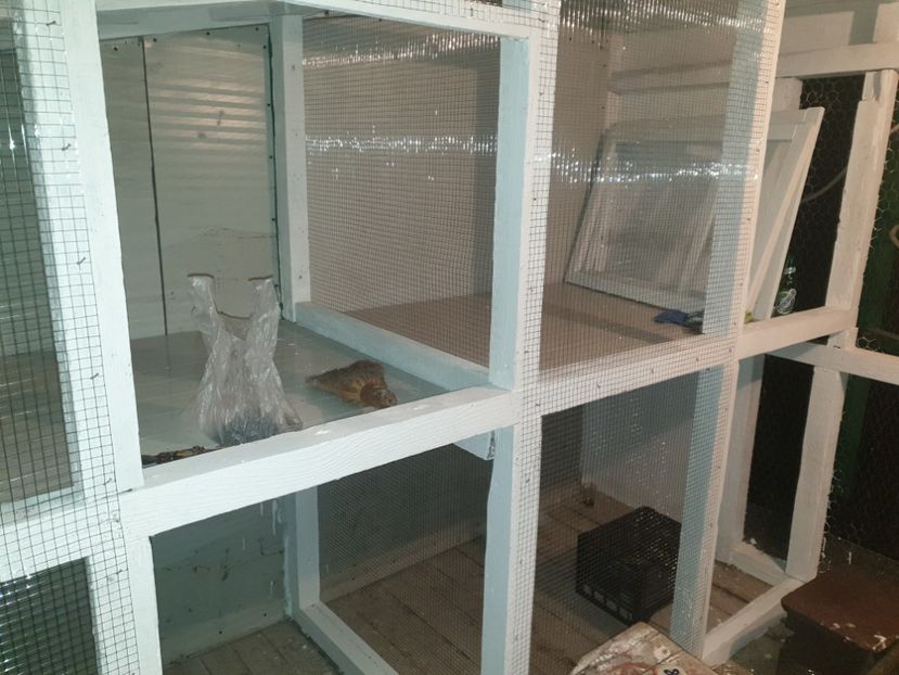  - Noua_casa_a_porumbeilor_cv_fitza_pe 2016